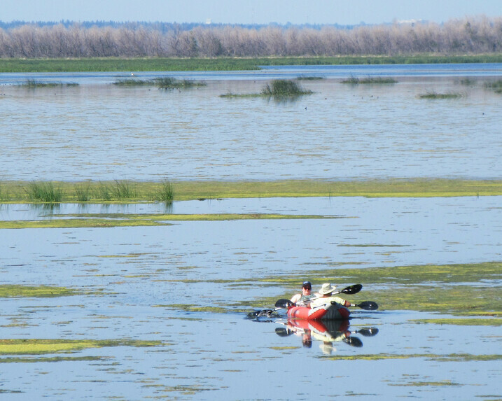 Panoramic view of kayakers and Big Lake with trees on the horizon.