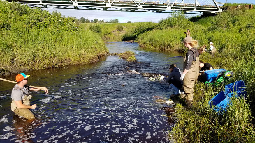 Group of people along a stream and one in the stream wearing waders with monitoring instruments.