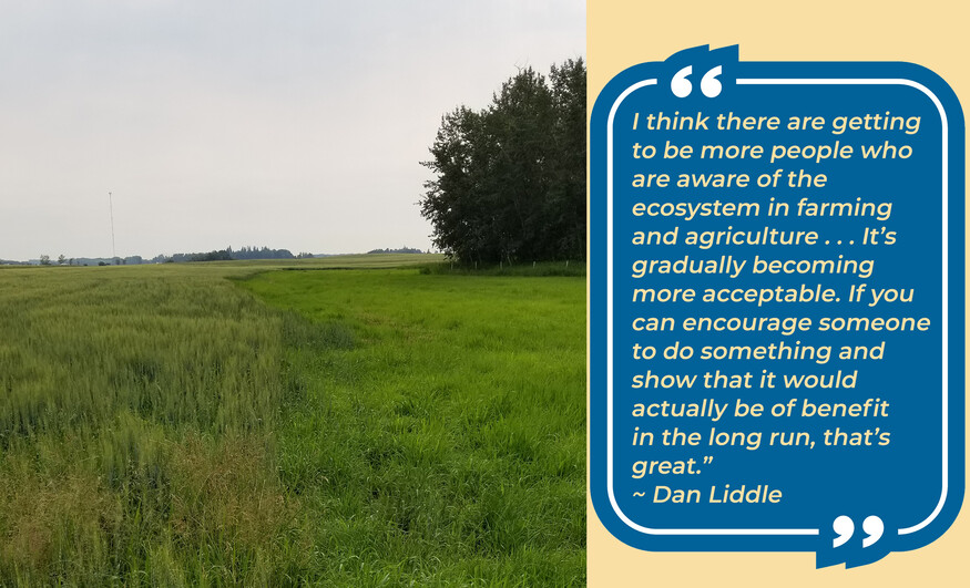 Crop and grassland landscape with trees in the background and a view of the horizon.