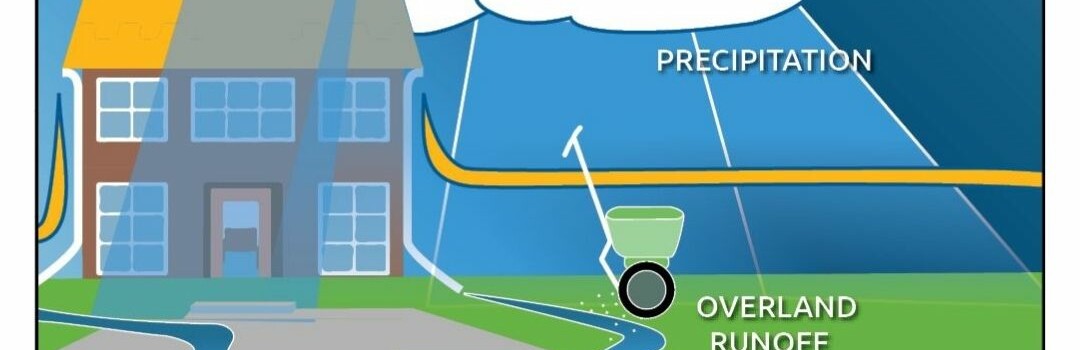 How salt enters waterbodies graphic.