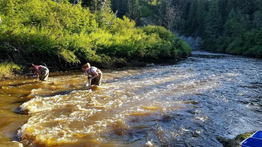 Two people sampling from the water in waders in a stream or river.