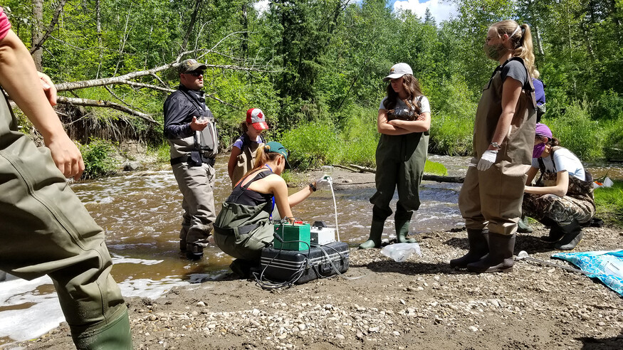 Group of people standing in a loose circle beside a stream wearing waders while one squats next to a monitoring machine.