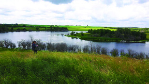 Landscape of a wetland.