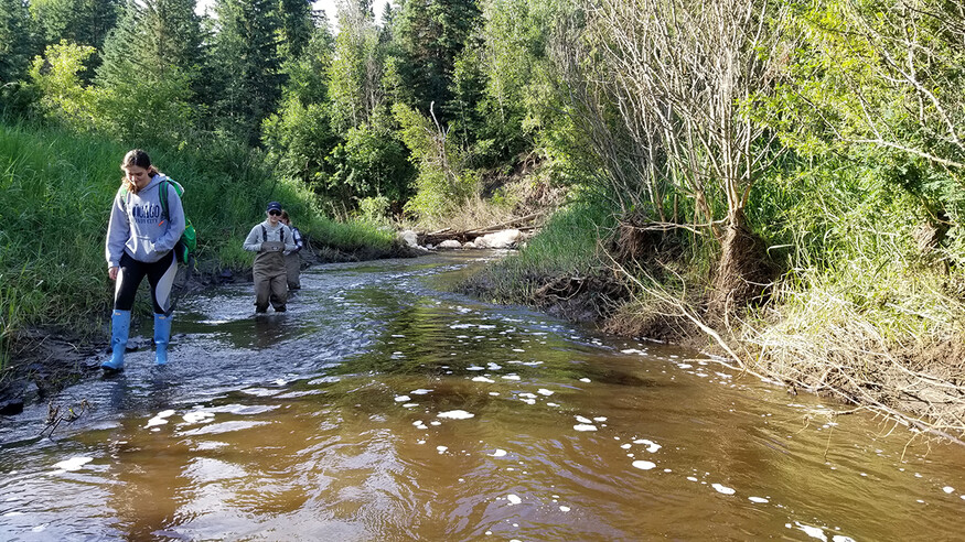 Three researchers walking upstream in the sun.