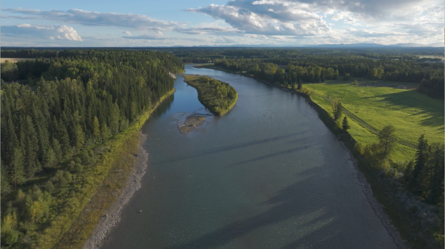 Aerial view of a river with green banks and trees on either side.
