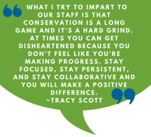 Green pull quote graphic about conservation being a long game and to stay focused, collaborative and persistent.