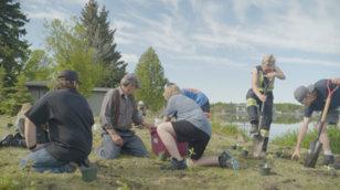 A group of people planting and digging with a lake in the background.