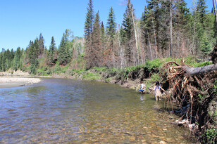 As water technologists work along the Nordegg River, impacts of recent wildfires can be seen in the upland forest area. Photo credit: Jillian Peterson.