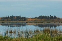 The shoreline and waters of Big Lake with forest lining the far shore's banks.
