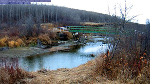 An automated image from the Vermilion River station at Lea Park in late fall, 2022.