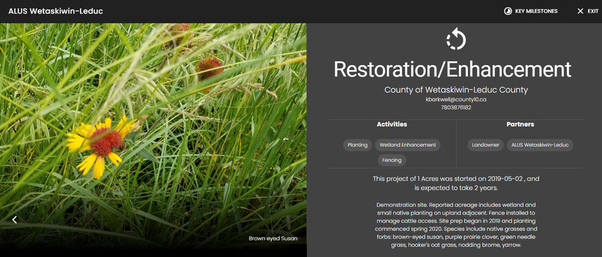 Screenshot of Riparian Web Portal projects that shows a brown-eyed susan and is titled "Restoration/Enhancement" with more description of the project below.
