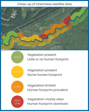 Image showing a satellite image and riparian health categorization
