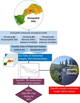 Graphic depicting the various parts of the Watershed Integrity Project, including the Geospatial data and the tributary field data work.