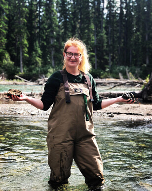 Woman standing in a clear stream with waders on holding slimy rocks. Trees in the background.