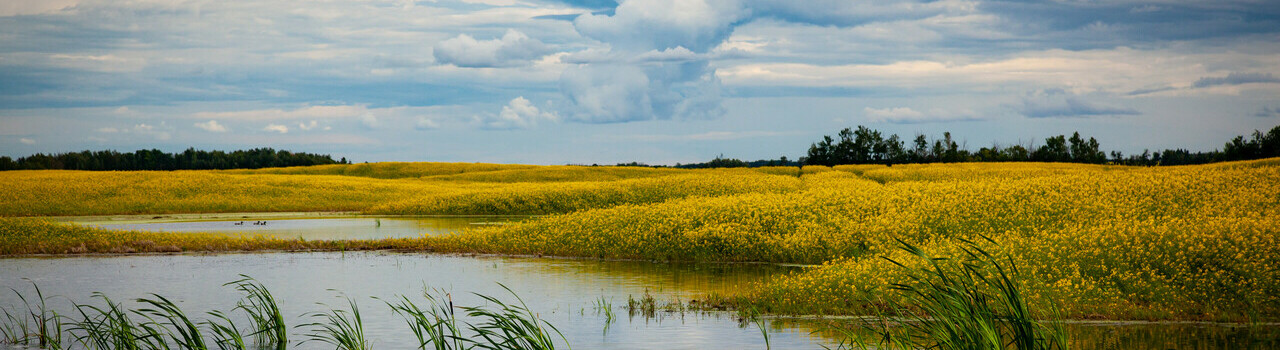 NSWA Sponsors Wetland Courses