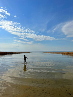 Child playing in the water at Lac Ste Anne on a sunny day.