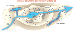Nested watersheds show how smaller watersheds around a lake or creek connect to the larger watershed.