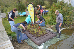 Volunteers working on the floating island at Wizard Lake along a shoreline with dock and trees in the background.