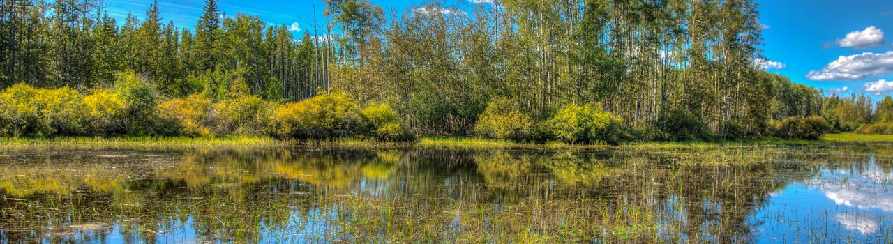 Headwaters Alliance