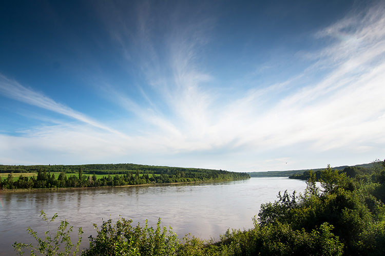 NSR near Buffalo Trail and Elk Point