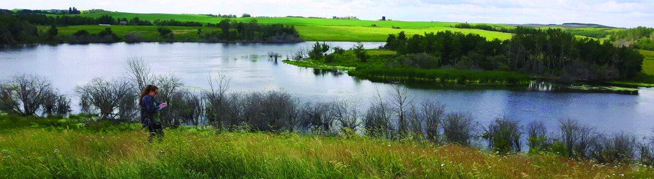 Prairie Reach