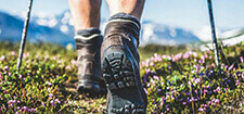 Alberta’s Guide to Outdoor Recreation on Provincial Crown Land cover.
