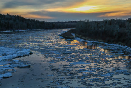View from Groat Road - Ice forming on the NSR  Photo: Bill Trout