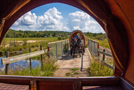 Lindbergh, Alberta in the Frog subwatershed. Riding with the Western Canadian Wagon Train on the Iron Horse Trail. photo: Carol Rusinek 