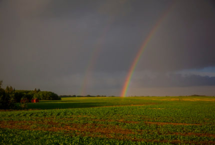 Rainbow after a storm - west of Leduc
Photo: Bill Trout