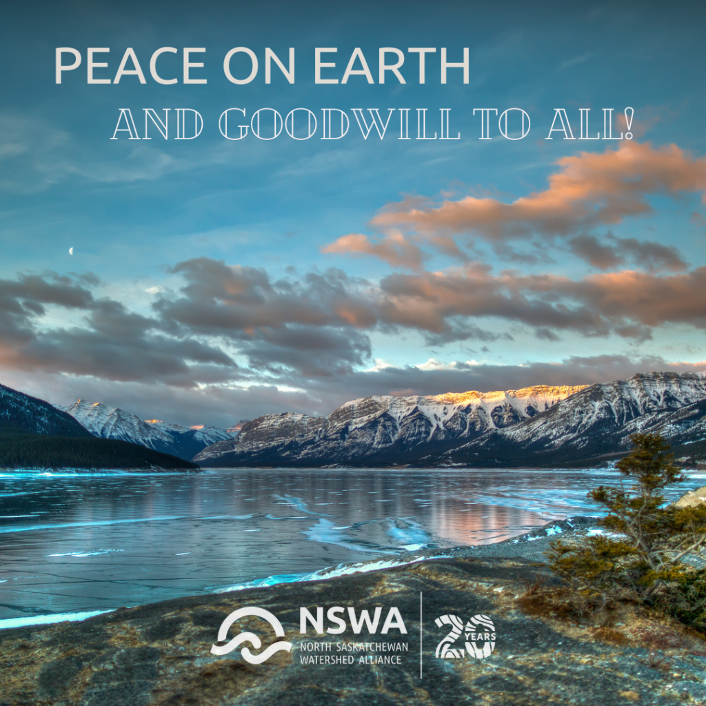 Peace and Goodwill